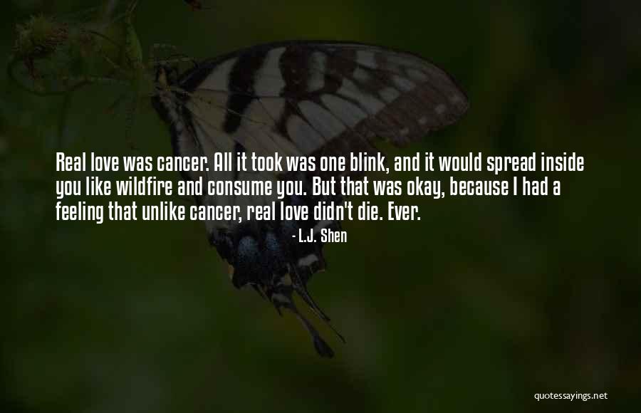 Blink Quotes By L.J. Shen Blink Quotes By L.J. Shen