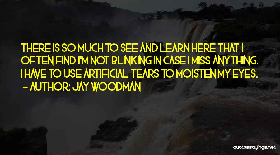 Blinking Eyes Quotes By Jay Woodman