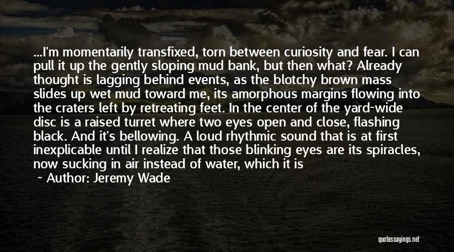 Blinking Eyes Quotes By Jeremy Wade