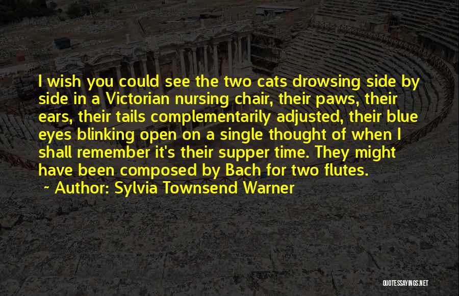 Blinking Eyes Quotes By Sylvia Townsend Warner