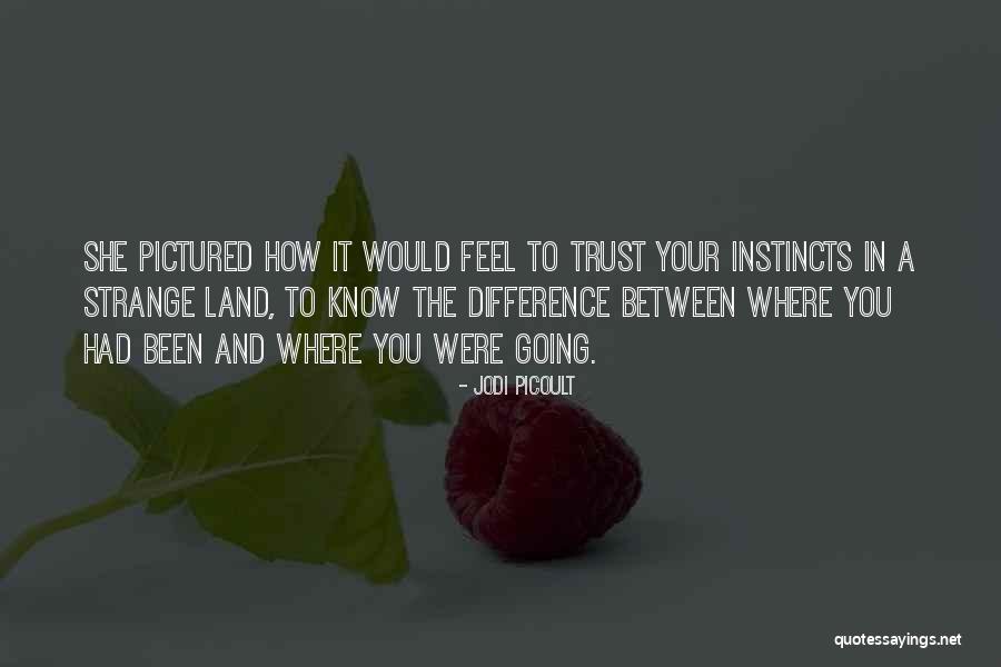 Blinks Security Quotes By Jodi Picoult Blinks Security Quotes By Jodi Picoult