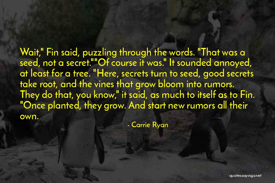 Blipping Videos Quotes By Carrie Ryan Blipping Videos Quotes By Carrie Ryan