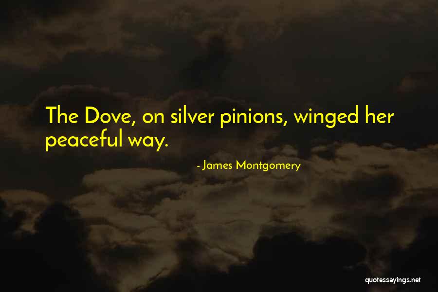 Bliskoznaczne Quotes By James Montgomery Bliskoznaczne Quotes By James Montgomery