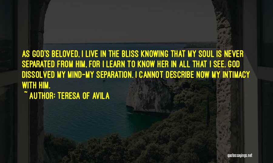 Bliss Of The Soul Quotes By Teresa Of Avila