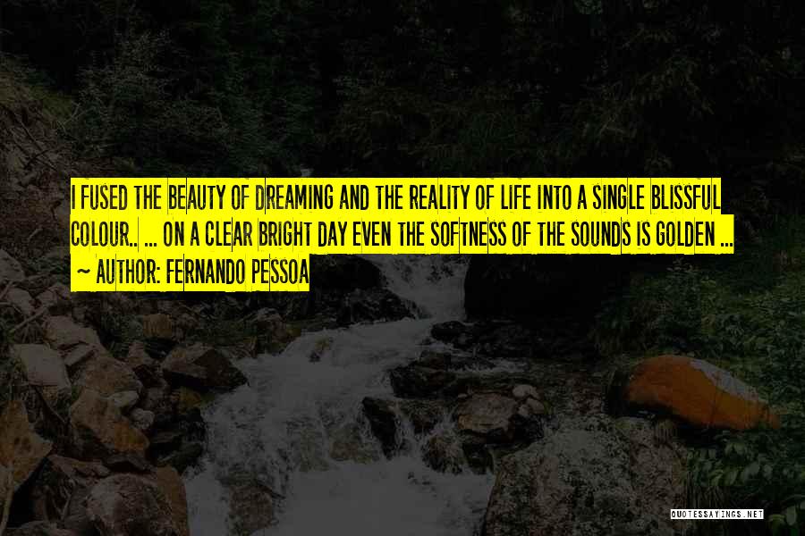 Blissful Day Quotes By Fernando Pessoa