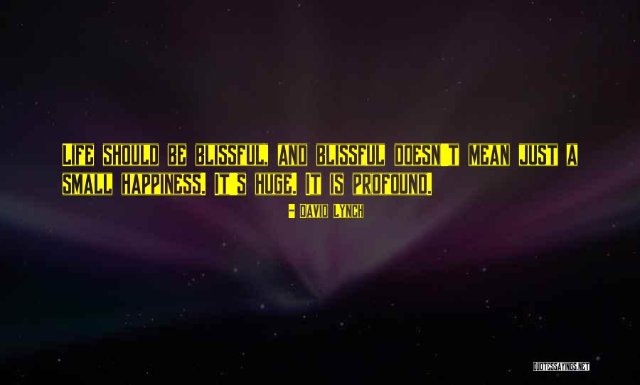 Blissful Life Quotes By David Lynch Blissful Life Quotes By David Lynch