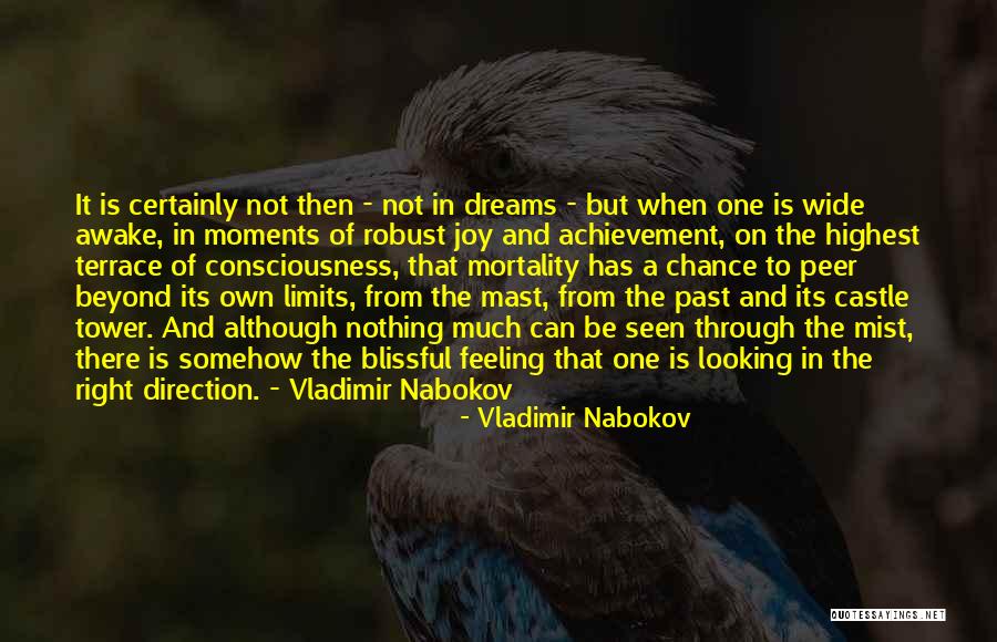 Blissful Moments Quotes By Vladimir Nabokov