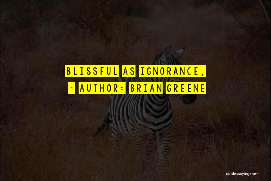 Blissful Quotes By Brian Greene