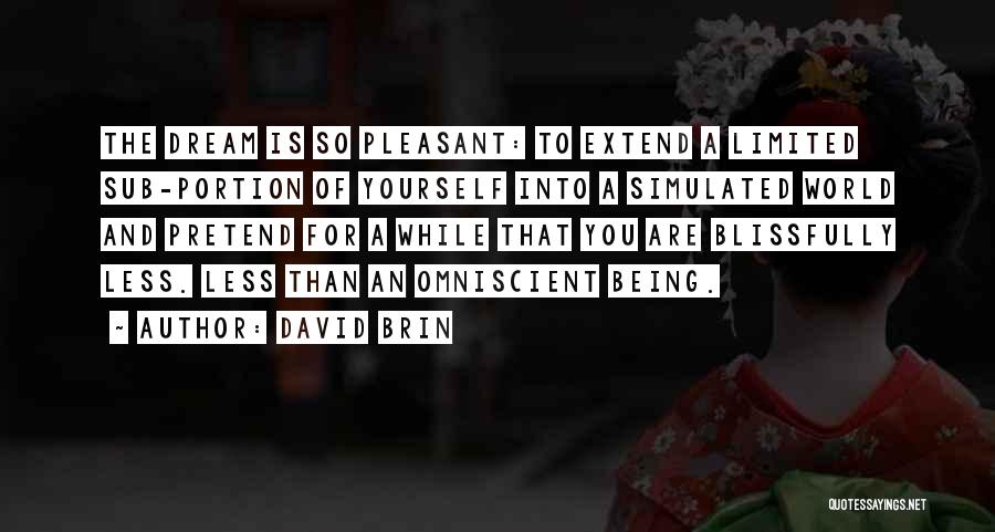 Blissfully Quotes By David Brin