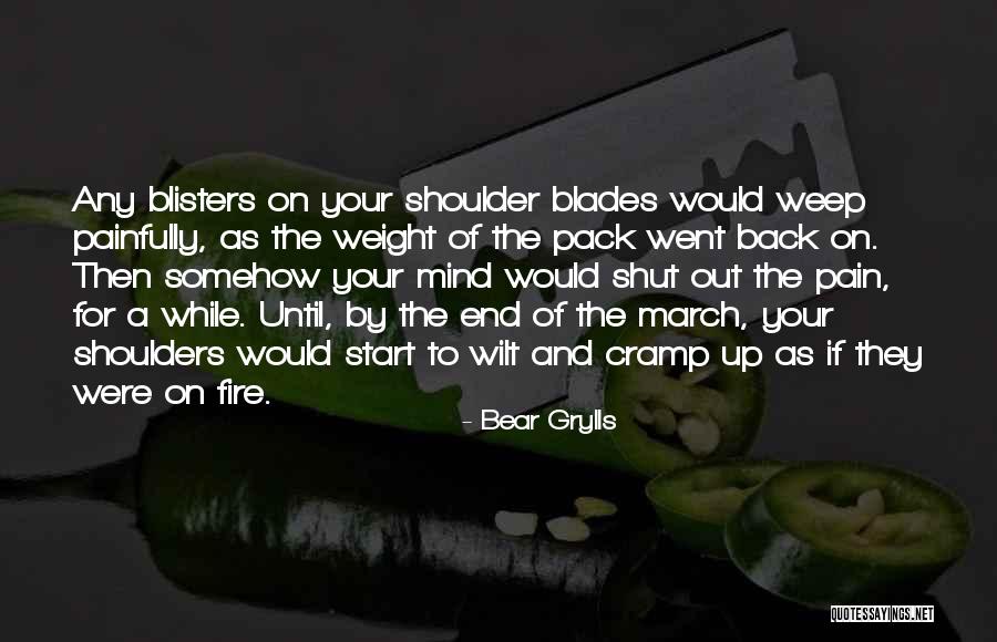 Blisters Quotes By Bear Grylls Blisters Quotes By Bear Grylls