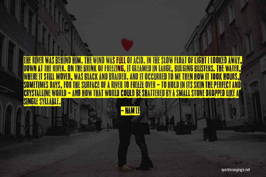 Blisters Quotes By Nam Le Blisters Quotes By Nam Le