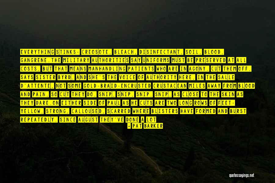 Blisters Quotes By Pat Barker Blisters Quotes By Pat Barker