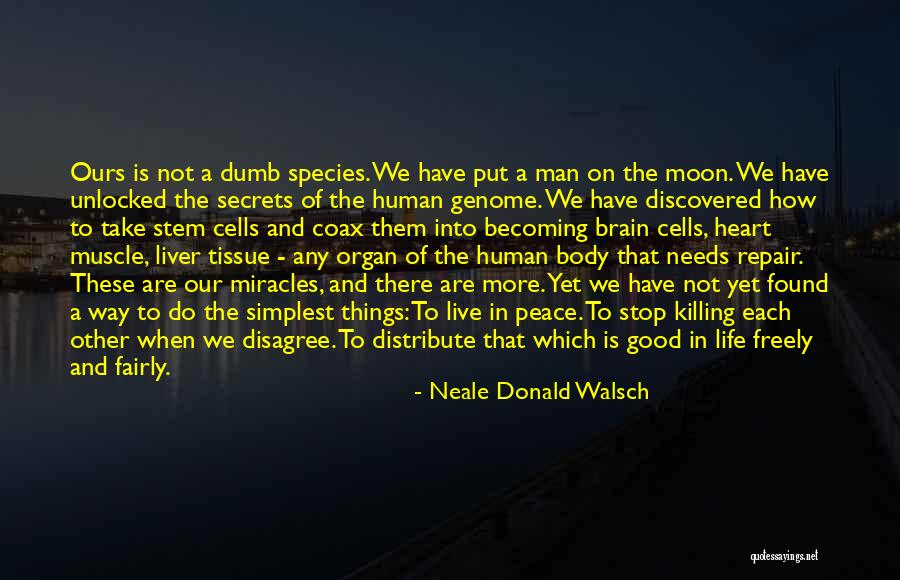 Blitzes Videos Quotes By Neale Donald Walsch Blitzes Videos Quotes By Neale Donald Walsch