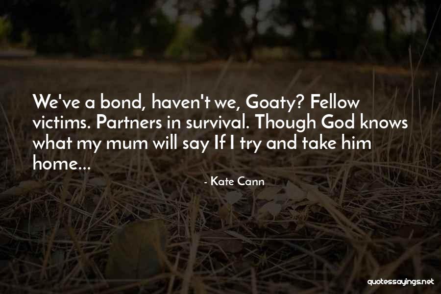 Blitzing For Dummies Quotes By Kate Cann Blitzing For Dummies Quotes By Kate Cann