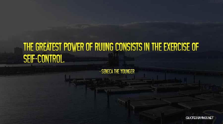 Blitzing For Dummies Quotes By Seneca The Younger Blitzing For Dummies Quotes By Seneca The Younger