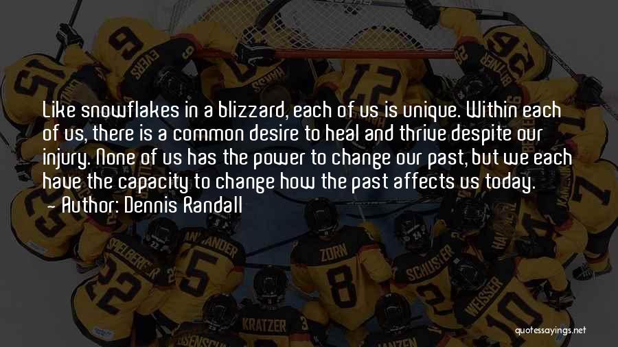 Blizzard Inspirational Quotes By Dennis Randall