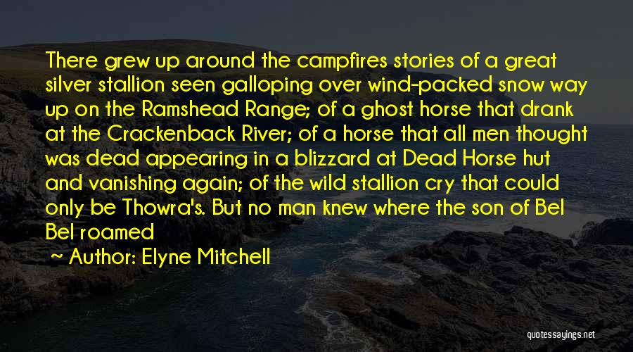 Blizzard Man Quotes By Elyne Mitchell