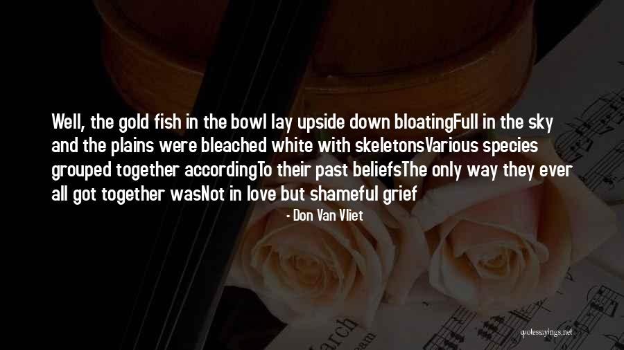 Bloating Quotes By Don Van Vliet Bloating Quotes By Don Van Vliet
