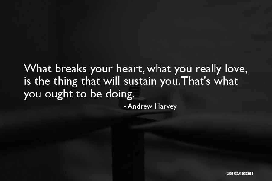 Blobby Volleyball Quotes By Andrew Harvey Blobby Volleyball Quotes By Andrew Harvey