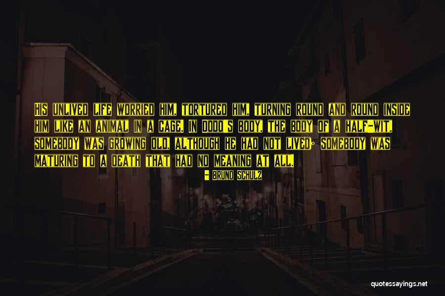 Block Text Messages Quotes By Bruno Schulz Block Text Messages Quotes By Bruno Schulz