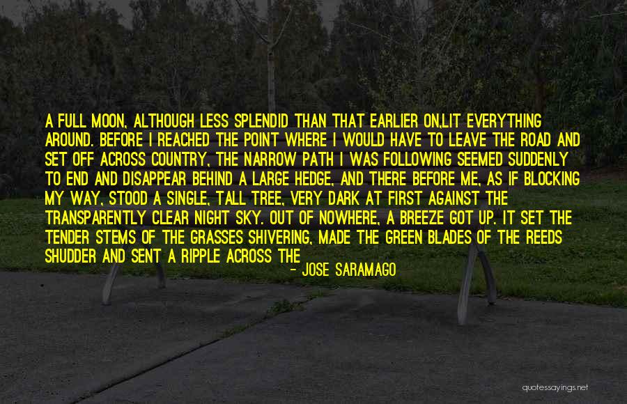 Blocking Out Quotes By Jose Saramago Blocking Out Quotes By Jose Saramago