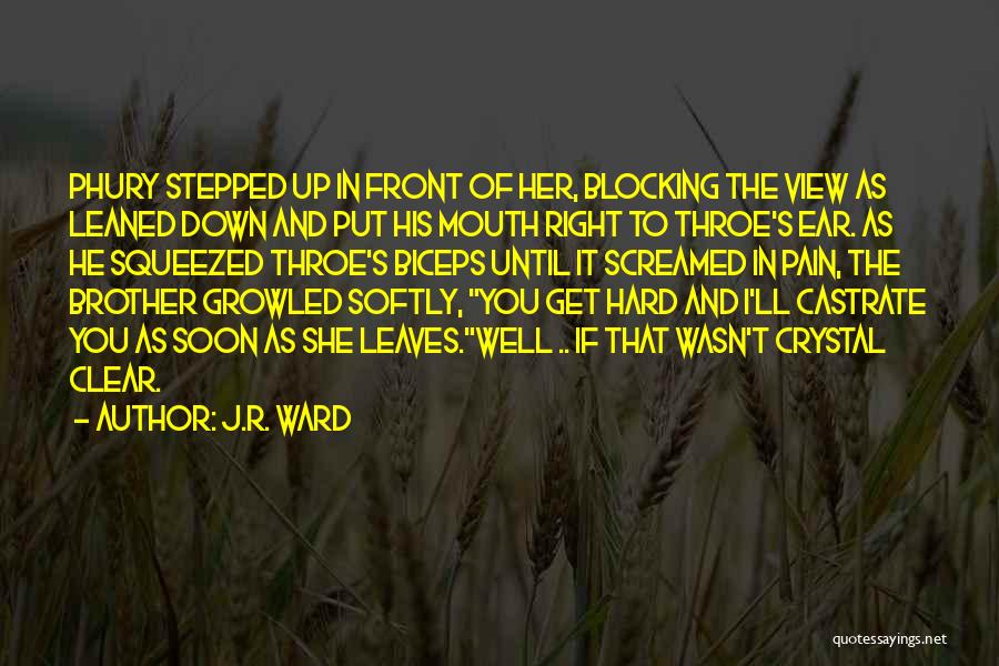 Blocking You Quotes By J.R. Ward