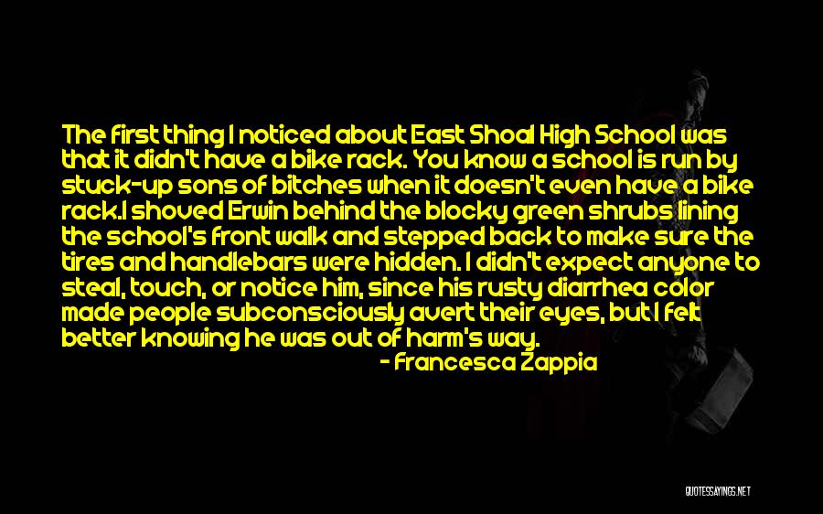 Blocky Quotes By Francesca Zappia Blocky Quotes By Francesca Zappia