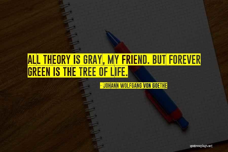 Blocky Quotes By Johann Wolfgang Von Goethe Blocky Quotes By Johann Wolfgang Von Goethe