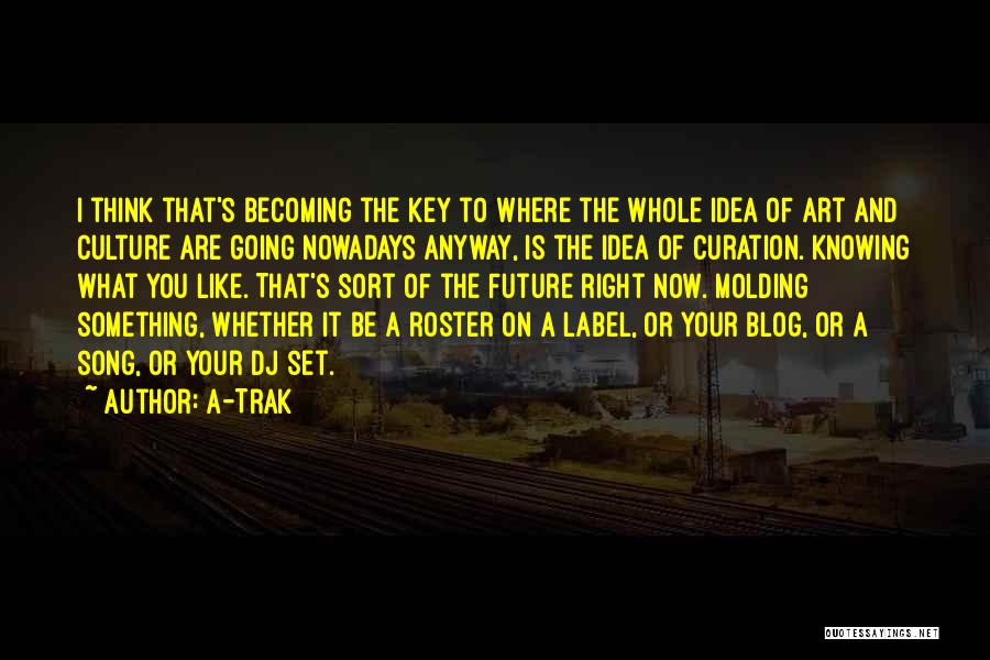 Blog On Quotes By A-Trak