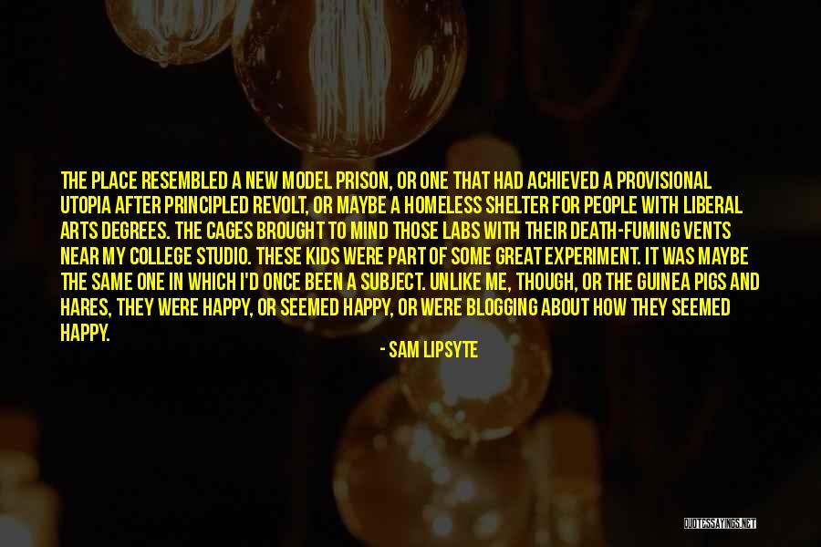 Blogging Quotes By Sam Lipsyte