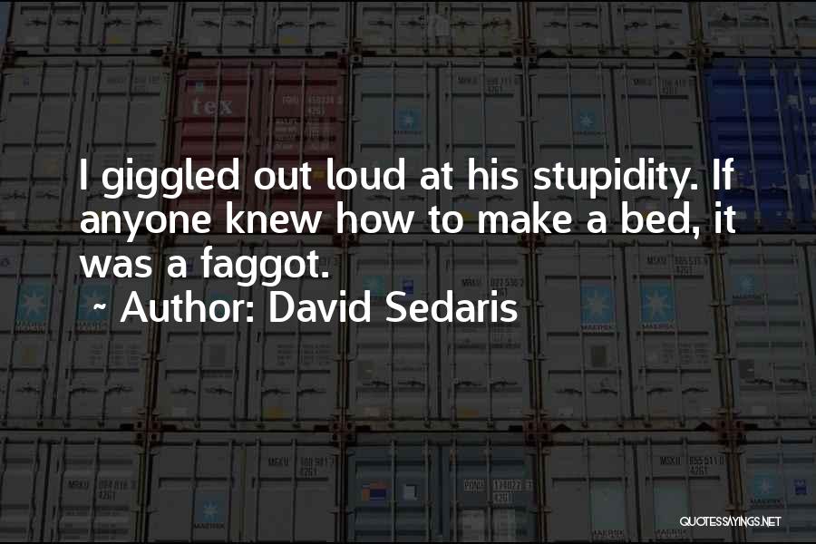 Blogspot Inspirational Quotes By David Sedaris