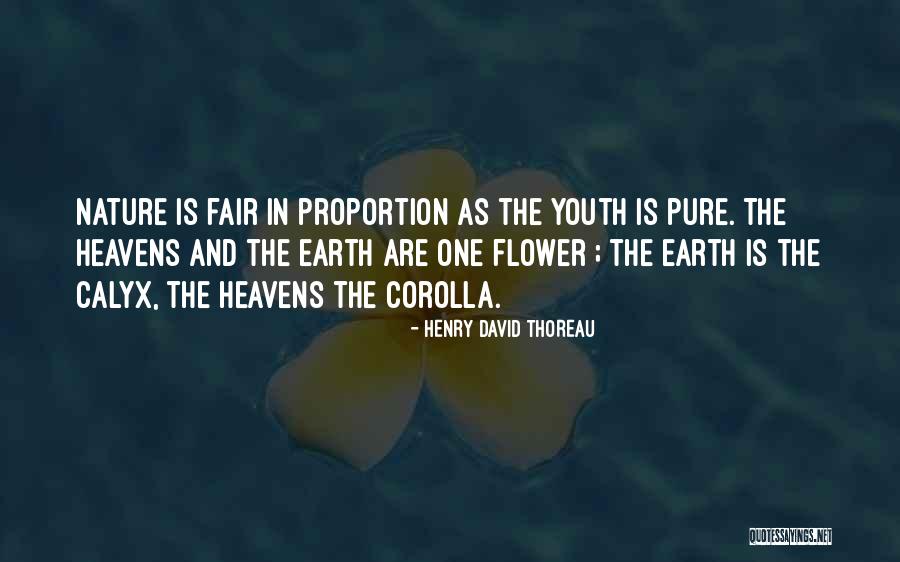 Blomsterberg Opskrifter Quotes By Henry David Thoreau Blomsterberg Opskrifter Quotes By Henry David Thoreau
