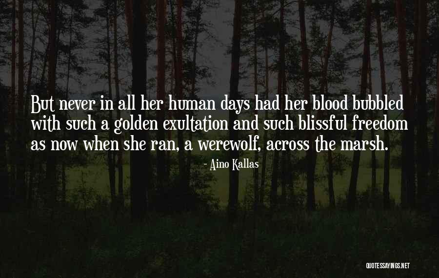 Blood And Freedom Quotes By Aino Kallas Blood And Freedom Quotes By Aino Kallas