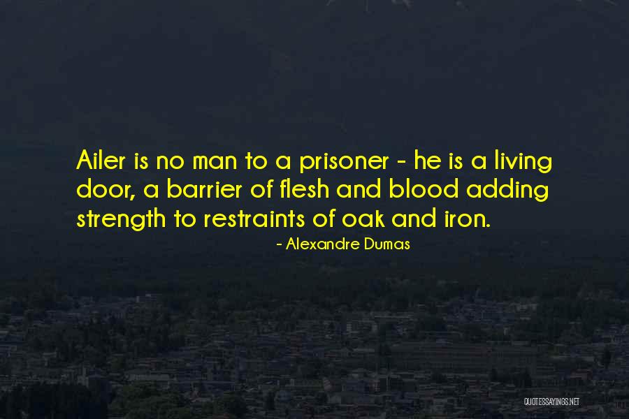 Blood And Iron Quotes By Alexandre Dumas