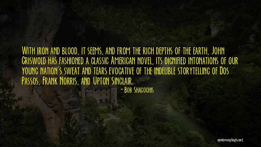 Blood And Iron Quotes By Bob Shacochis