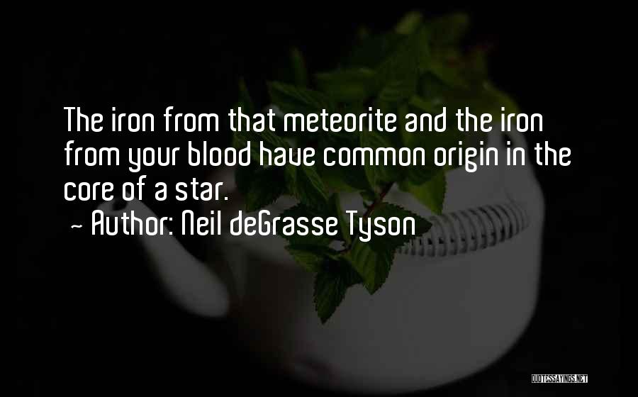 Blood And Iron Quotes By Neil DeGrasse Tyson