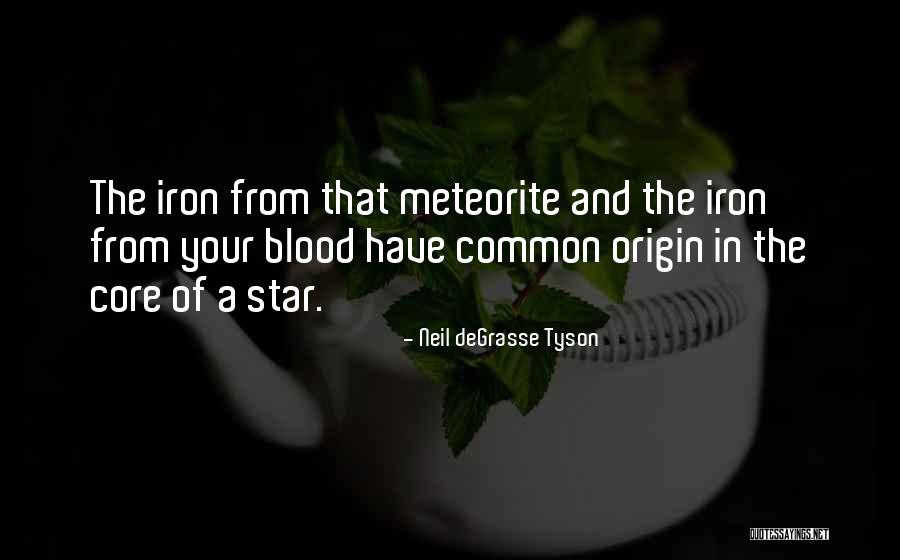 Blood And Iron Quotes By Neil DeGrasse Tyson