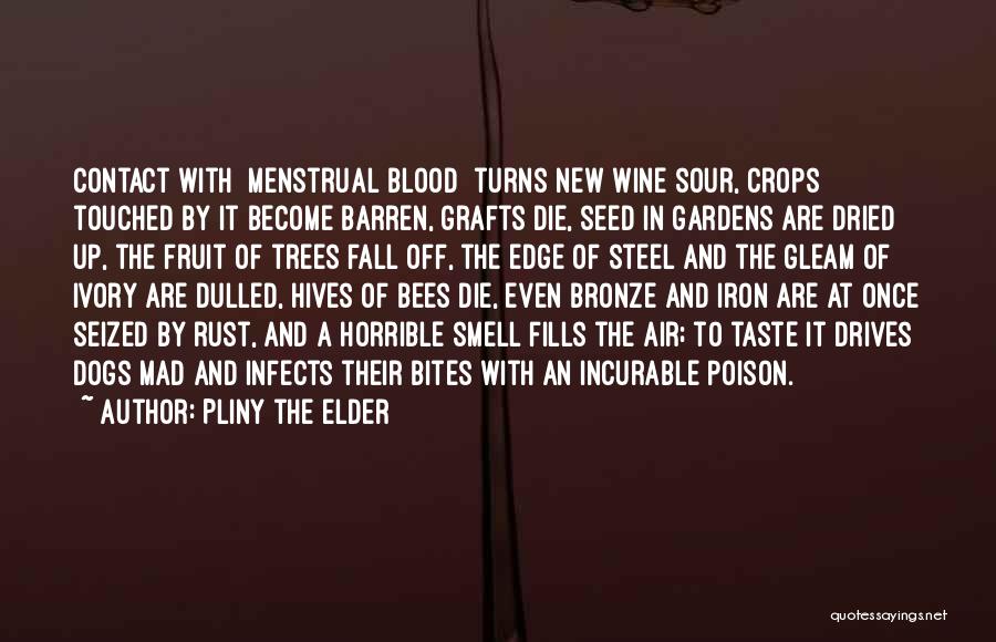 Blood And Iron Quotes By Pliny The Elder