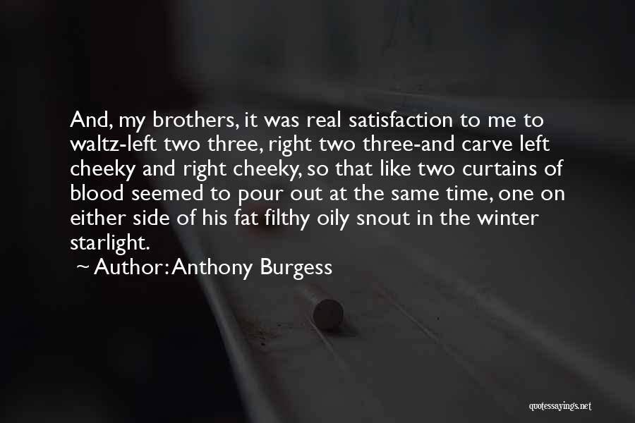 Blood And Starlight Quotes By Anthony Burgess