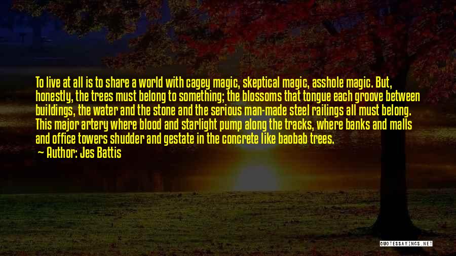 Blood And Starlight Quotes By Jes Battis