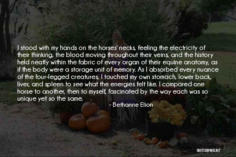 Blood And Veins Quotes By Bethanne Elion Blood And Veins Quotes By Bethanne Elion