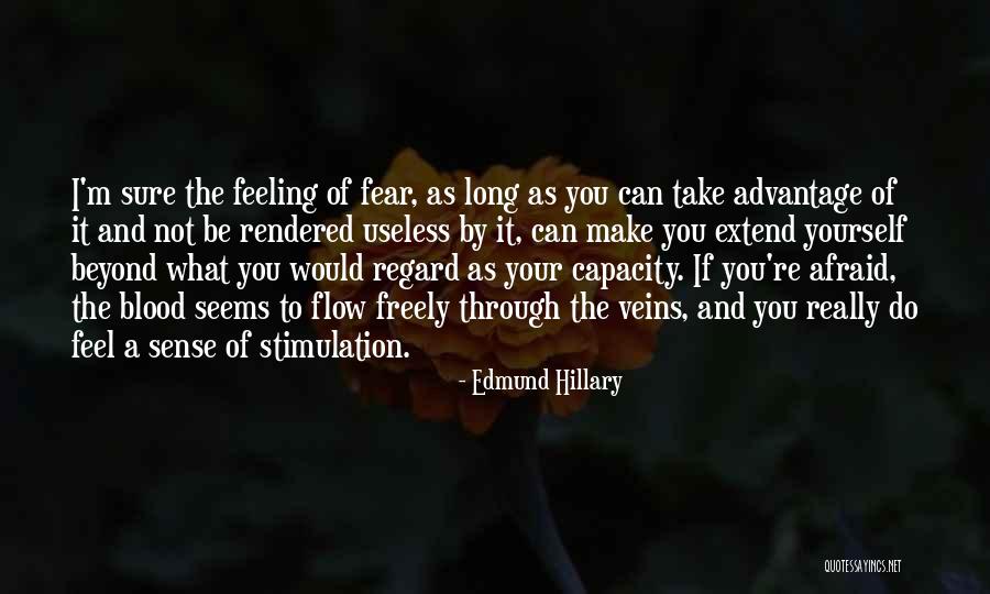 Blood And Veins Quotes By Edmund Hillary Blood And Veins Quotes By Edmund Hillary