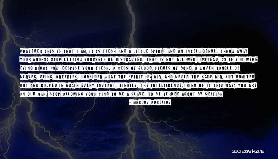 Blood And Veins Quotes By Marcus Aurelius Blood And Veins Quotes By Marcus Aurelius