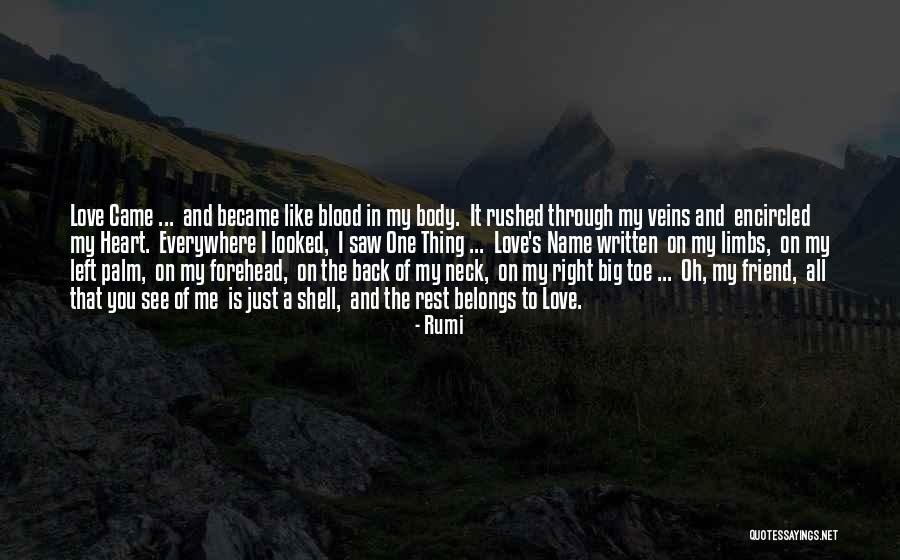 Blood And Veins Quotes By Rumi Blood And Veins Quotes By Rumi