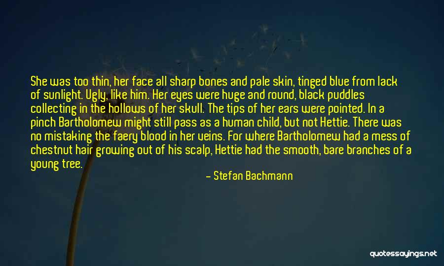 Blood And Veins Quotes By Stefan Bachmann Blood And Veins Quotes By Stefan Bachmann