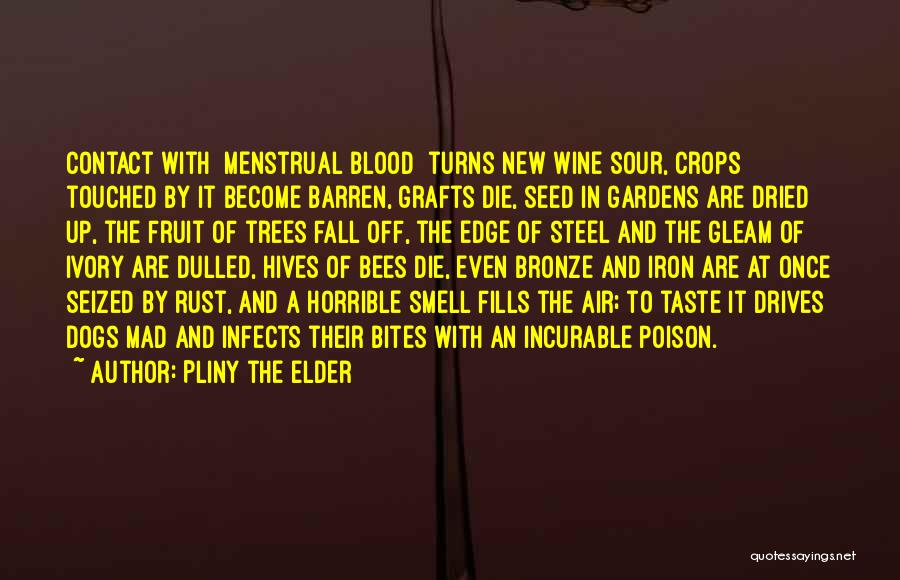 Blood And Wine Quotes By Pliny The Elder