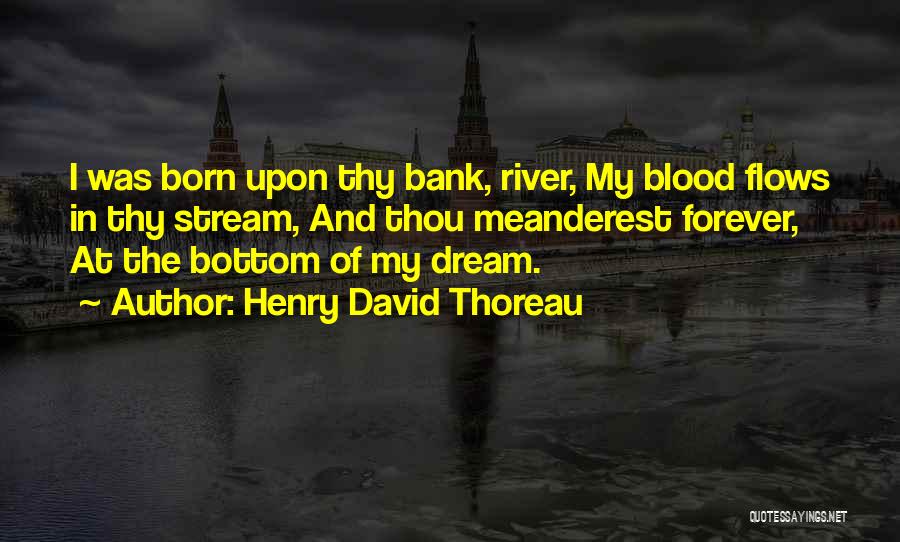 Blood Bank Quotes By Henry David Thoreau