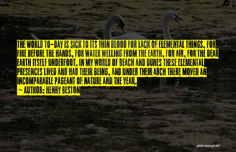 Blood Before Water Quotes By Henry Beston