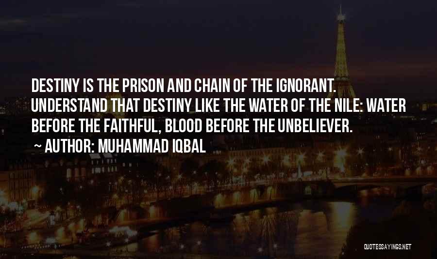 Blood Before Water Quotes By Muhammad Iqbal