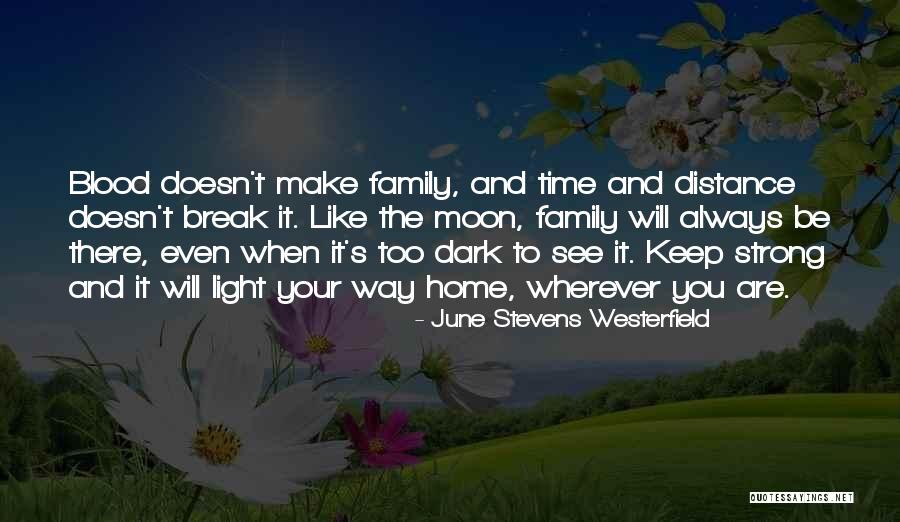 Blood Doesn't Always Make You Family Quotes By June Stevens Westerfield